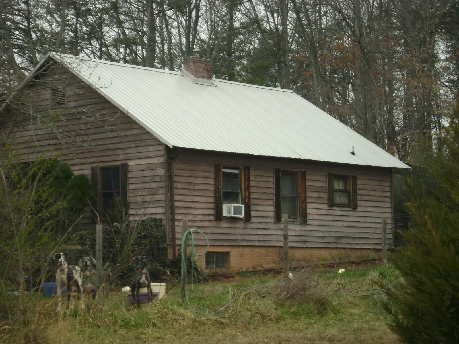 White metal roof on an old wood sided farmhouse, from a Metal Roof Installation job in Point Reyes Station